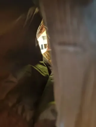 Chaquetón de pana caballero marrón