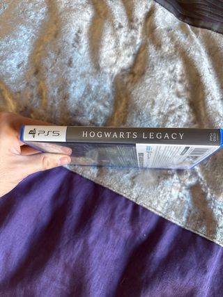 Hogwarts Legacy PS5
