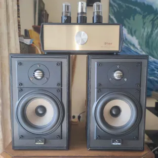 Altavoces Celestion 3 Negros