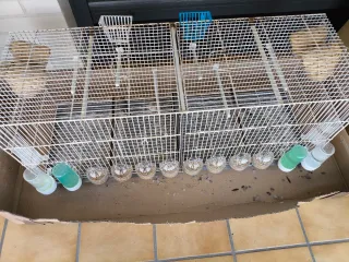 Jaula para pájaros de 1 metro