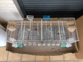 Jaula para pájaros de 1 metro