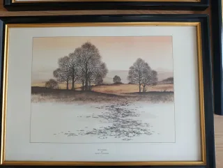 4 Cuadros Decorativos Paisajes