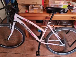 Bicicleta INDOOR 18V