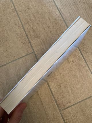 Casper, il gatto pendolare