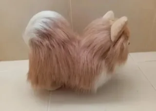Peluche perro raza Pomerania  Muy realista! NUEVO