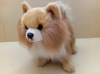 Peluche perro raza Pomerania  Muy realista! NUEVO