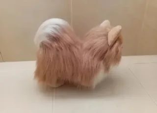 Peluche perro raza Pomerania  Muy realista! NUEVO