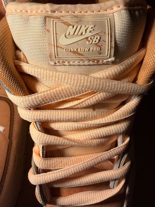 Nike SB Dunk Premium Trocadero Gardens Size 44