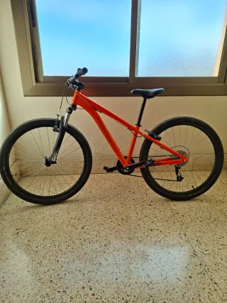 Bicicleta de montaña. (Precio negociable)