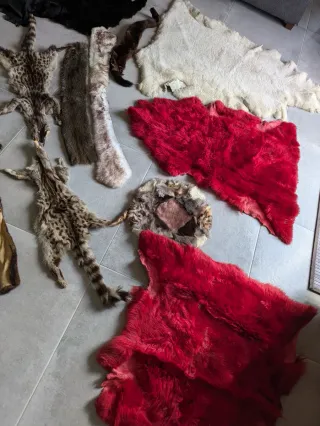 Pieles tratadas varias