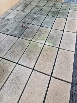 20 Losas de hormigón para exterior