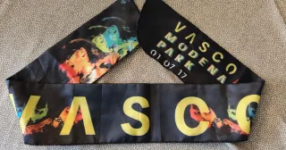 Fascia Vasco Modena Park 01/07/2017