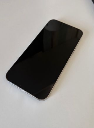 iPhone 13 Pro Max 256GB Plata. Perfecto estado.