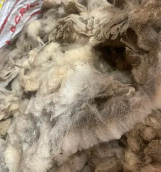 Lana de oveja natural sin lavar