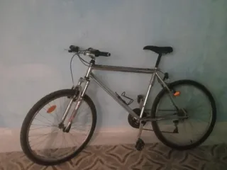 Bicicleta BH Plata