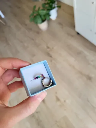 Pendientes Plata Luxenter Multicolor