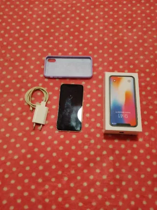 iPhone X 256GB