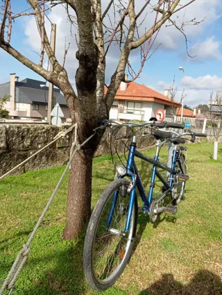Bicicleta Tándem Orbita Azul