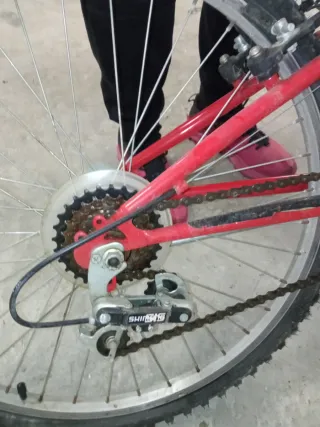 Bicicleta Montaña 24 pulgadas Doble Suspensión