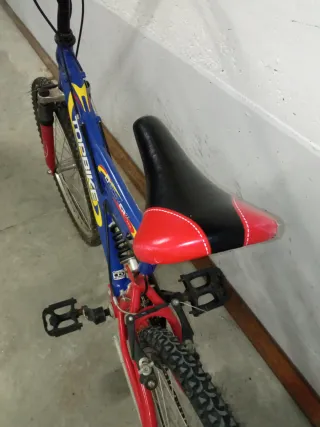 Bicicleta Montaña 24 pulgadas Doble Suspensión