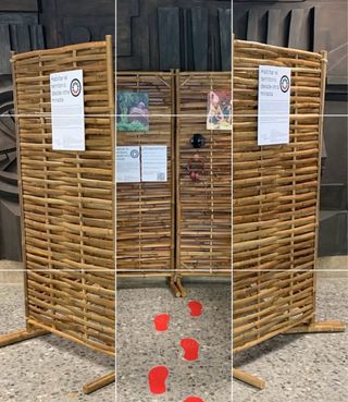 Biombo de bambú natural