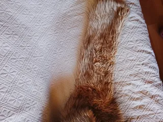 Abrigo pelo sintético vintage zorro años 80