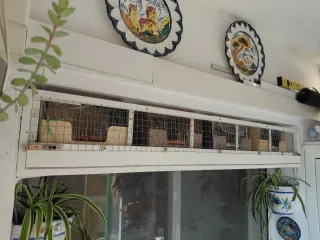 Lote material aviario, jaulas...