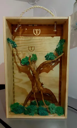 Lampada da camera design con luci LED