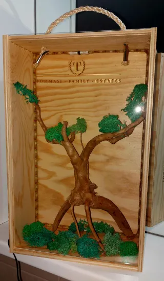 Lampada da camera design con luci LED