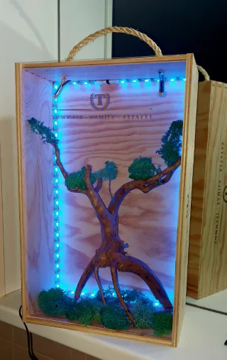 Lampada da camera design con luci LED