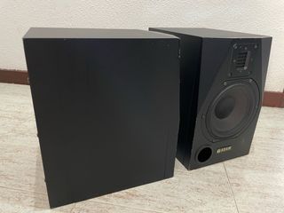 Monitores ADAM P11 Activos Estudio