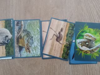 Cromos Panini Mundo Animal Los Récords