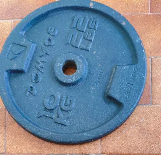 Disco de gimnasio 10 kg recogida en mano