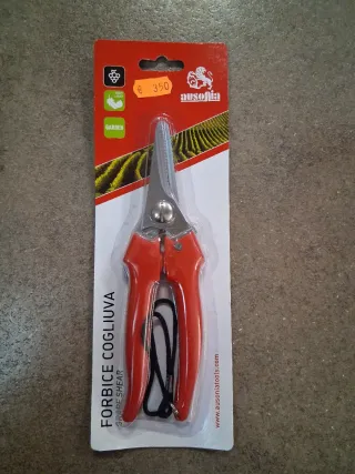 Forbice Cogliuva Ausonia