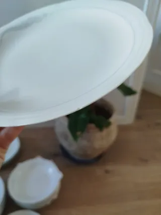 VAJILLA PORCELANA IRABIA