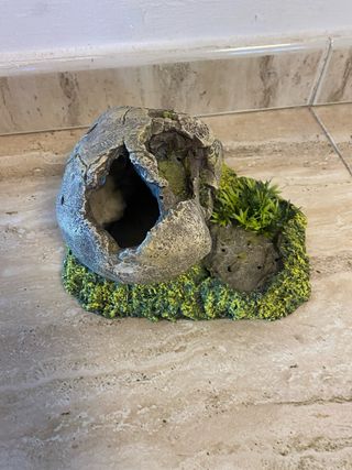 Calavera decorativa acuario