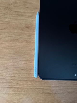 iPad Pro M4 11" Wifi + Cellular + Apple Care fino al 2027