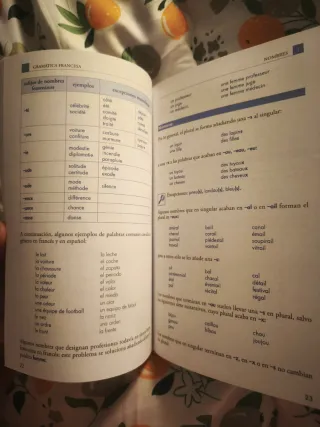 Gramática francesa: La mejor guía para estudian...