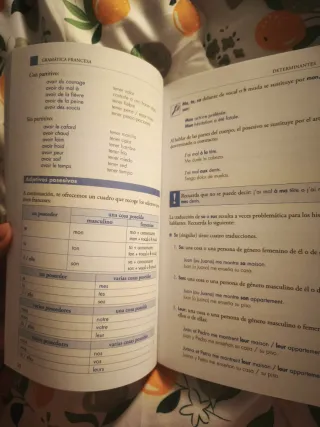 Gramática francesa: La mejor guía para estudian...