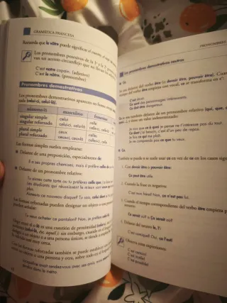 Gramática francesa: La mejor guía para estudian...