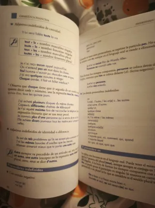 Gramática francesa: La mejor guía para estudian...