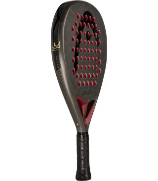 Head Coello Motion 2026