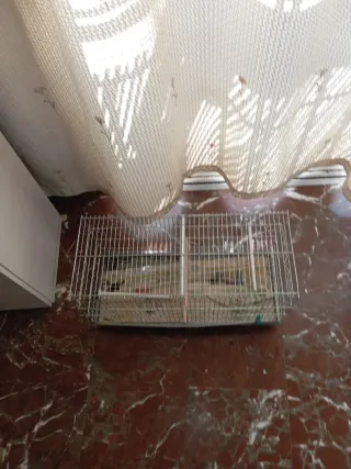 Jaula para pájaros plateada