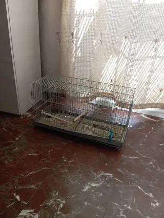 Jaula para pájaros plateada