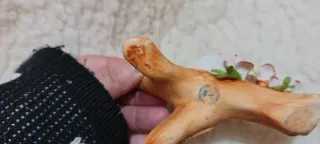 Ceramica Capodimonte Colomba e Fiori