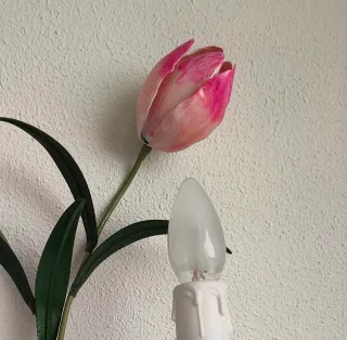 Aplique de pared flores