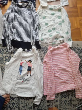 Lote 9 camisetas niña manga larga