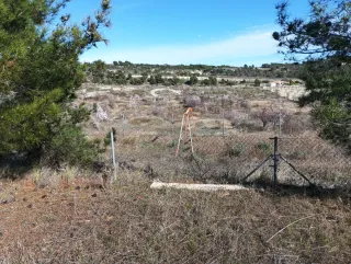Terreno Rustico paraje los Barrancos (Murcia)