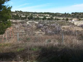 Terreno Rustico paraje los Barrancos (Murcia)
