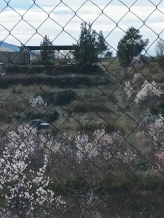 Terreno Rustico paraje los Barrancos (Murcia)